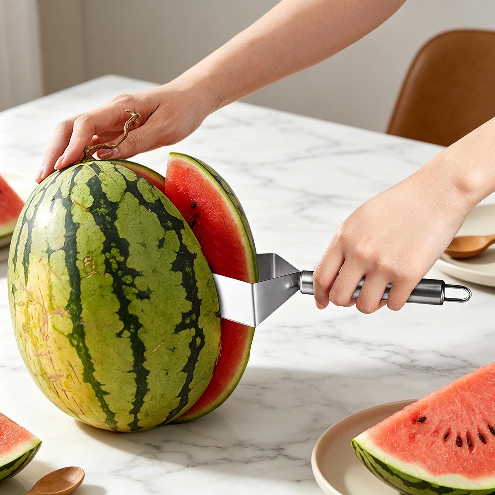 stainless steel Watermelon sli - Men Accessories Shop review and price